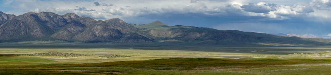 Long valley next to Lake Crowley, Mono County, California. USA. Green wetland with mountain on the background during clouded summer.