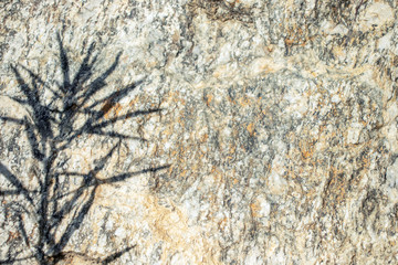 bright stone shadow plant grass background pattern