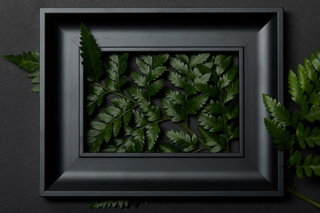 top view of black frame with green fern leaves on black background