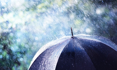 Rain And Wind On Black Umbrella - Weather Concept - obrazy, fototapety, plakaty