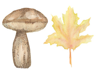 Hand drawn watercolor illustration of mushroom and autumn leaf