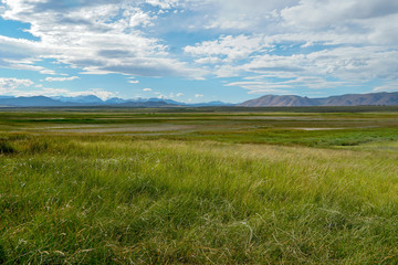 Obraz premium Long valley next to Lake Crowley, Mono County, California. USA. Green wetland with mountain on the background during clouded summer.