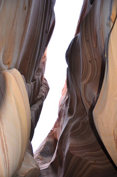 Zebra slot canyon at escalante nationalpark utha