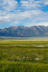 Long valley next to Lake Crowley, Mono County, California. USA. Green wetland with mountain on the background during clouded summer.