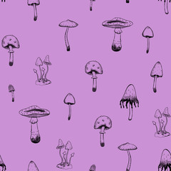 Autumn seamless pattern. Different types of poisonous mushrooms. Outline drawing on a purple background. Gentle botanical wallpaper. Decorative digital drawing. Vintage style.