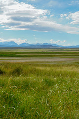 Obraz premium Long valley next to Lake Crowley, Mono County, California. USA. Green wetland with mountain on the background during clouded summer.