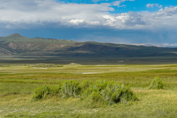 Fototapeta na wymiar Long valley next to Lake Crowley, Mono County, California. USA. Green wetland with mountain on the background during clouded summer.
