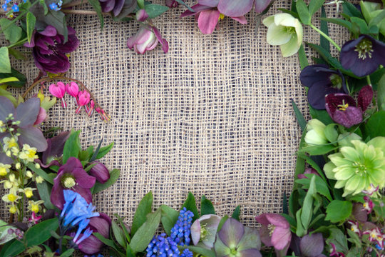 Horizontal image of spring perennial and bulb flowers and leaves on burlap background, with space for text