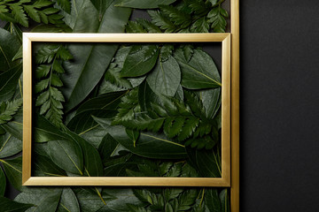 top view of golden frames on black background with green leaves