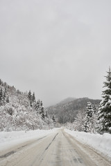 Obraz premium Winter vacation view of mountains and fir three forest. Snow road.