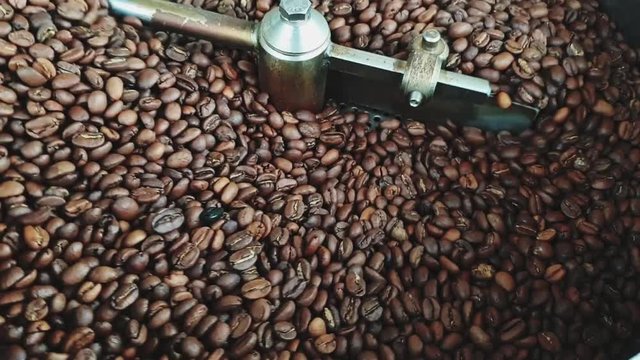 coffe beans roaster in work. Pure arabica beans in roaster in process