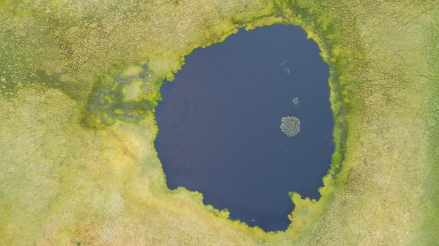 Aerial photo of swamp and lake in vegetated wetland