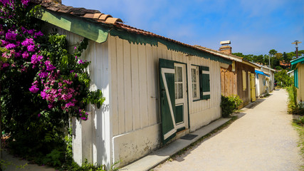 cabane d'ostréiculteur, bassin d'arcachon, france