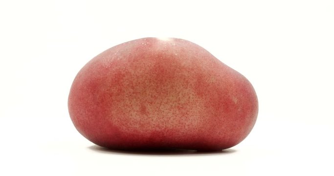 Donut peach isolated rotates on itself on white background. Snuffbox, Saturn, Tabacchiera rotation. Organic fruit.