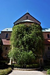 Rose of Hildesheim in the courtyard of the cathedral