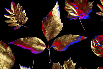 autumn composition of different Golden leaves on a black background