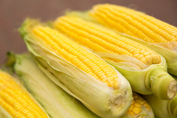 Fresh yellow corn. New crop at farmers market.