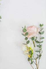 Pink and Orange Flowers with Greenery on White Background, Copy Space, Roses, Peonies, and Green Flowers