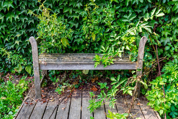 Fototapeta premium verwunschene Bank om Grünen