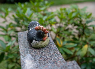 bird in grass, Huhn auf einem Grabstein 