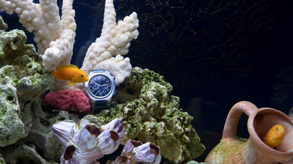 Watches under the water in the aquarium