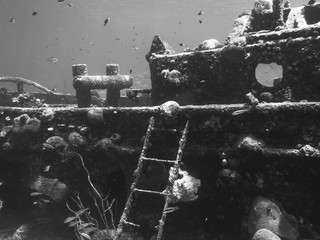 Wracktauchen Curacao