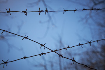 Rows of barbed wire against a dark blue sky, blurred image