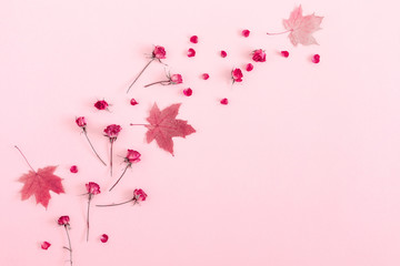 Autumn creative composition. Beautiful dried leaves, flowers on pastel pink background. Fall...