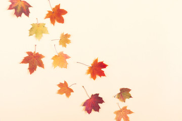 Autumn creative composition. Beautiful dried leaves on beige background. Fall concept. Autumn background. Flat lay, top view, copy space