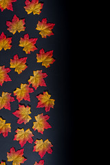 Plakat Autumn leaves on black background 