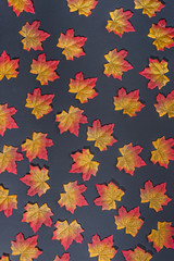Autumn leaves on black background 