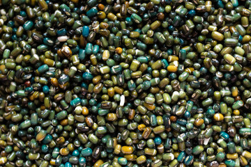 Glossy wet soaked, washed black dal beans, Urid lentils, soya, superfood   world travel food, colourful glossy gram seeds. Indian Kali Black Mung bean. Vegetarian, vegan, healthy protein and fibre