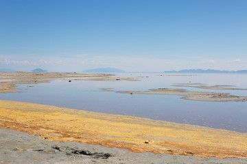 Fototapeta na wymiar salt lake pink water mineral mud organic nature yellow sand blue sky pinky spiral jelly