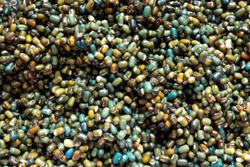 Glossy wet soaked, washed black dal beans, Urid lentils, soya, superfood   world travel food, colourful glossy gram seeds. Indian Kali Black Mung bean. Vegetarian, vegan, healthy protein and fibre