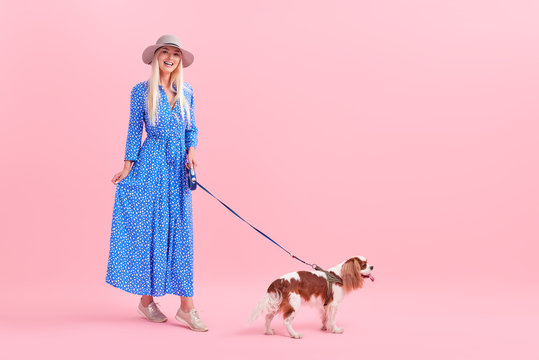 Full Length Portrait Of A Happy Young Woman Walking With Dog Spaniel Isolated On Pink Background. Lady Owner In Bright Blue Dress And Stylish Hat