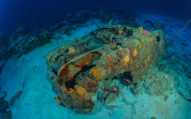 Curacao Unterwasser