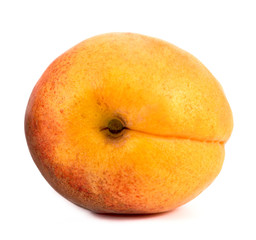 Apricot on a white background. Isolated