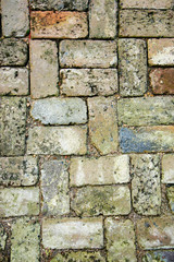 brick pavers