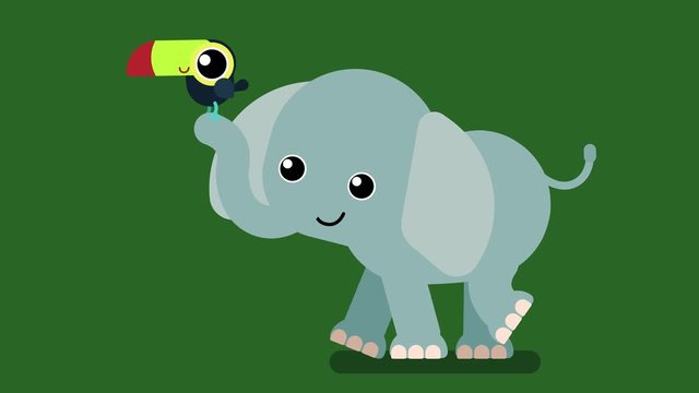 100 baby animals. Walk cycle of a cute baby elephant with toucan. 2D animation made in 4K, loopable clip , isolated on green