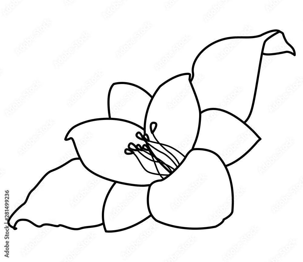 Sticker Tropical flower with leaves cartoon in black and white