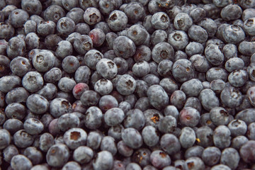Blueberries