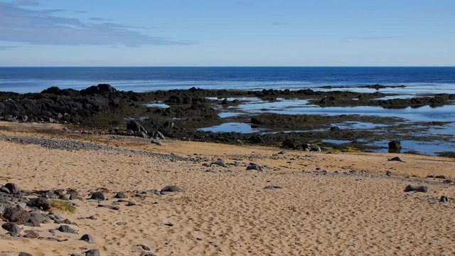 Ytri Tunga - Beach of seals, Iceland.