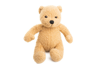 toy little bear isolated