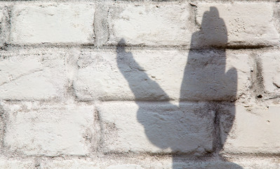 Shadow of the hands in the form of a bird on a brick wall. Concept - freedom, flight, liberate.
