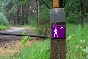 Forest walking paths network signpost in Kempen forest, brabant, Netherlands