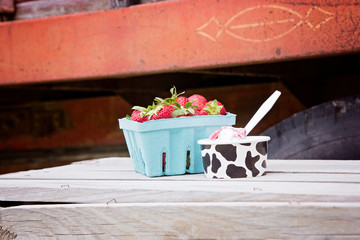 Strawberries and Ice Cream