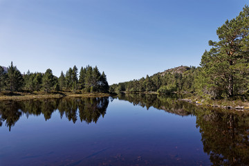 Obraz na płótnie Canvas Loch an Eilein - Rothiemurchus, Cairngorms National Park - Scotland, UK