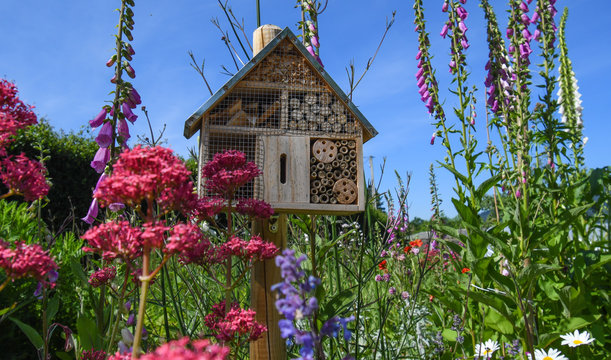 Insect hotel in the garden