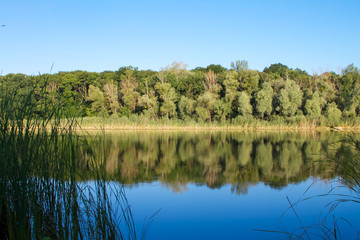 Summer landscape with a blue transparent lake and forest in the background, selective focus