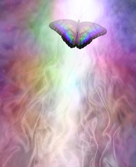 Transformation metaphor Butterfly moving into the light - a multicoloured butterfly leaving a trail of white light and copy space below against a gaseous ethereal energy formation background © Nikki Zalewski